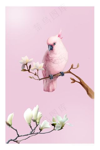 唯美粉色鹦鹉兰花装饰画
