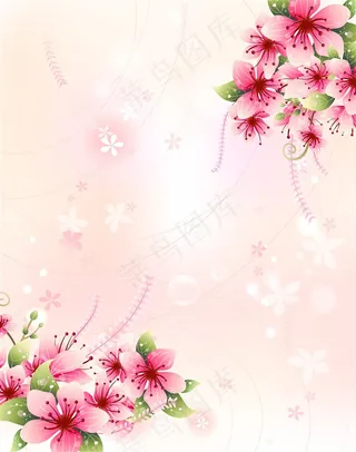 樱花花边设计图