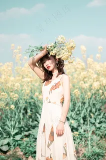 清新花丛写真图片 清新花丛写真图片