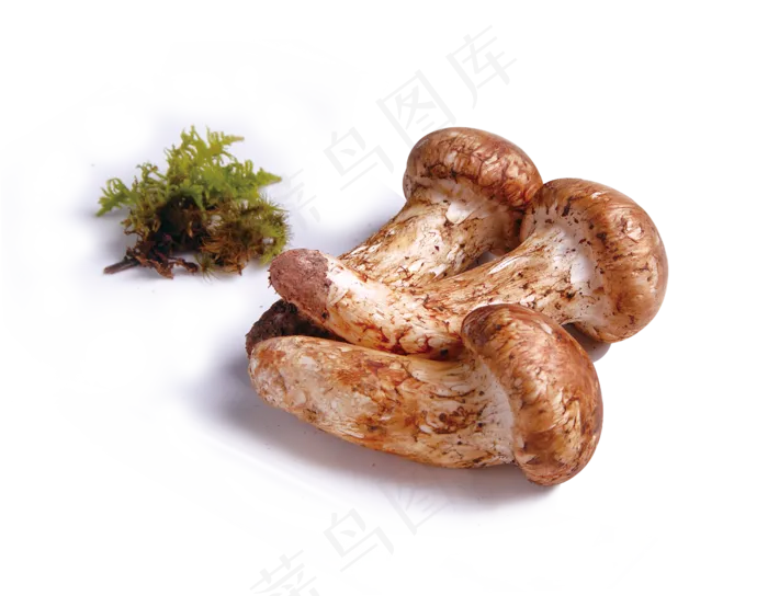 蔬菜免扣png素材