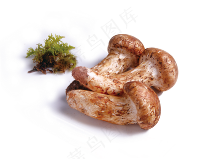 蔬菜免扣png素材