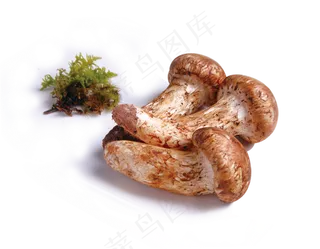 蔬菜免扣png素材