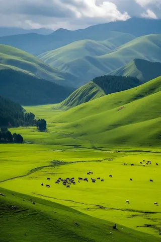 高原绿色草原牛羊马摄影图