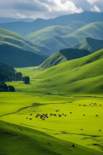 高原绿色草原牛羊马摄影图 高原绿色草原牛羊马摄影图