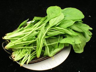 青菠菜  