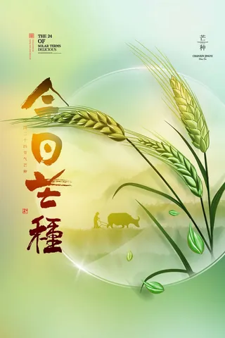 芒种 芒种宣传营销