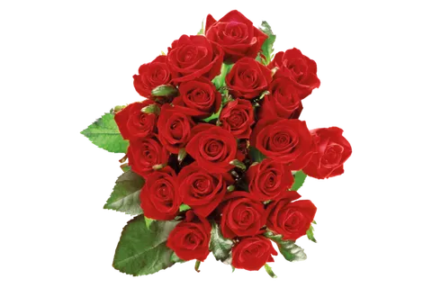 鲜花玫瑰免扣素材