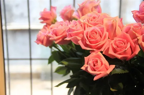 一大束粉玫瑰