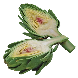 朝鲜蓟蔬菜一碟切开 朝鲜蓟蔬菜一碟切开