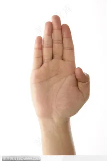 手势喻意-举手发言五指并拢的手