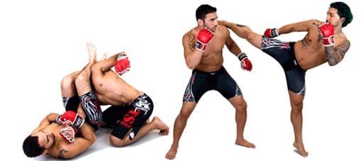 综合格斗 PNG, MMA PNG免抠(550x244)