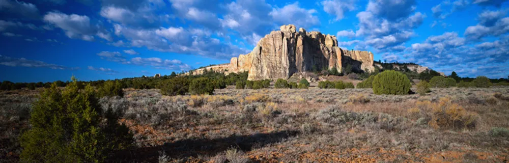 J147-67-大幅风景144