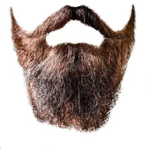 胡子 PNG免抠(300x300)