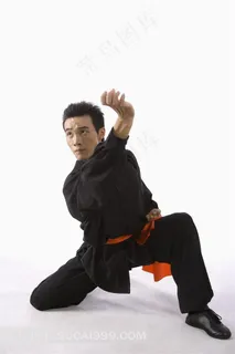 练武黑衣男人素材 练武黑衣男人素材