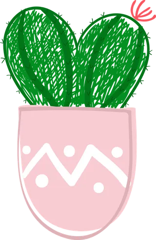 素材仙人球盆栽