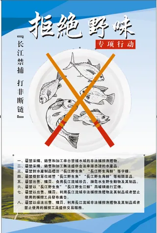 拒绝野味长江禁止捕鱼