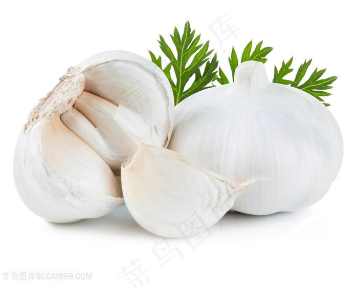 新鲜的蒜头高清图片