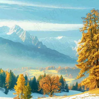 秋天黄色的树叶和草地肃杀的气氛,立秋,秋分 秋天黄色的树叶和草地肃杀的气氛,立秋,秋分