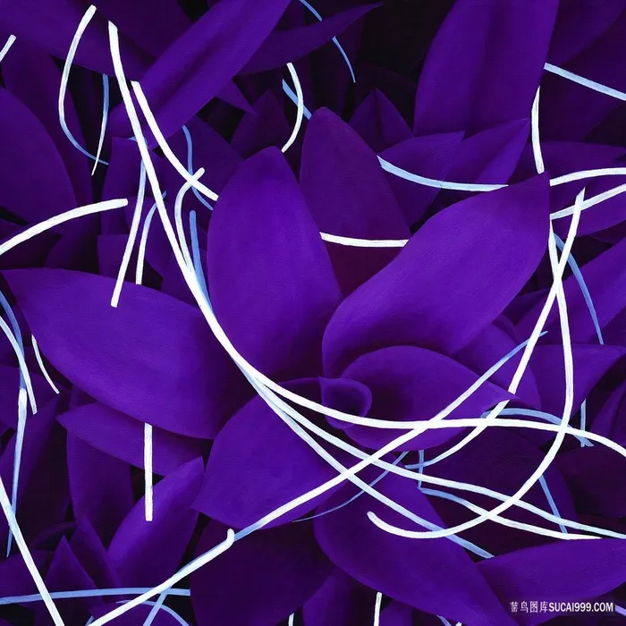 紫色花卉树叶插画