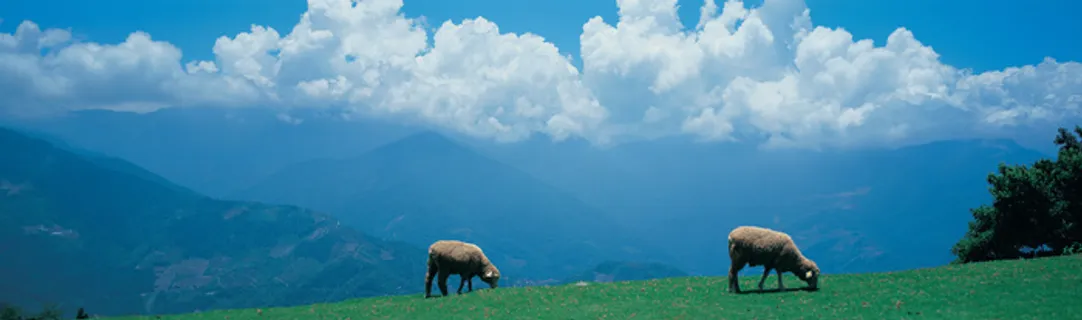 J147-67-大幅风景92