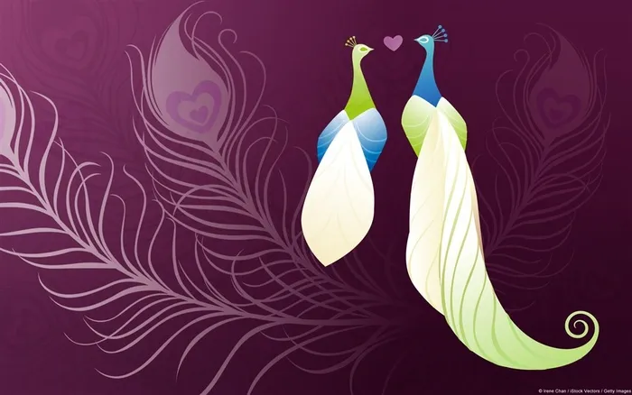 两只大孔雀一公一母