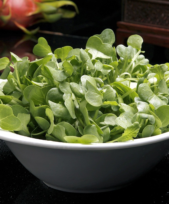 萝卜苗火锅配菜美食设计素材