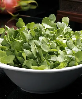 萝卜苗火锅配菜美食设计素材