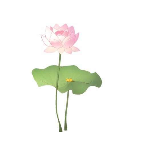荷花莲花免抠