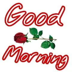 早上好 PNG免抠(240x240)