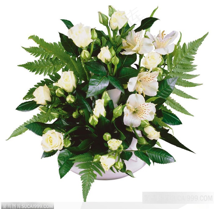 花艺花束-绿叶中的白色玫瑰