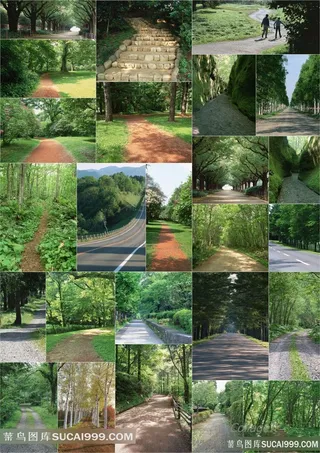 25张绿色通道道路高清图片