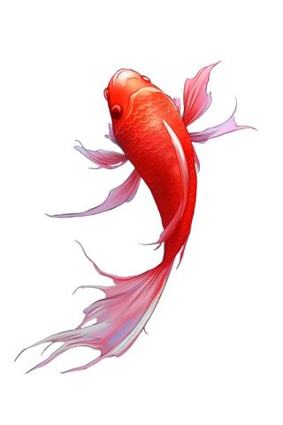 简约鲤鱼跃龙门