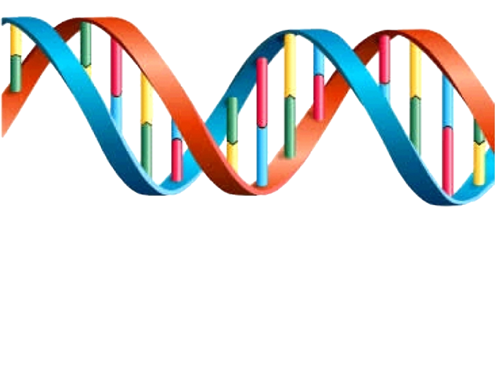 DNA图谱序列螺旋卡通