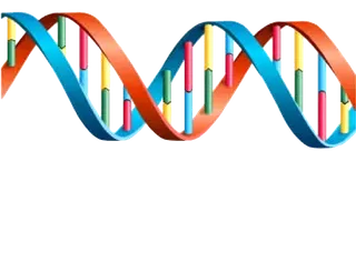 DNA图谱序列螺旋卡通