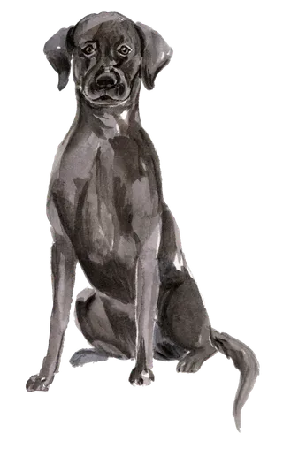 狗狗水彩画插画免扣素材可爱宠物狗