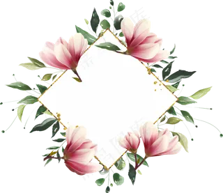 唯美木兰花边框图片