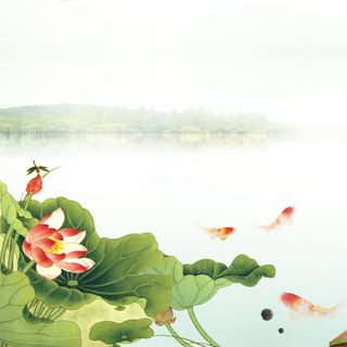 荷花中国风主图