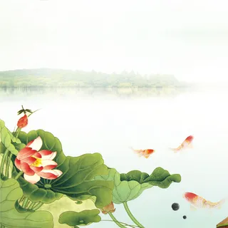 荷花中国风主图