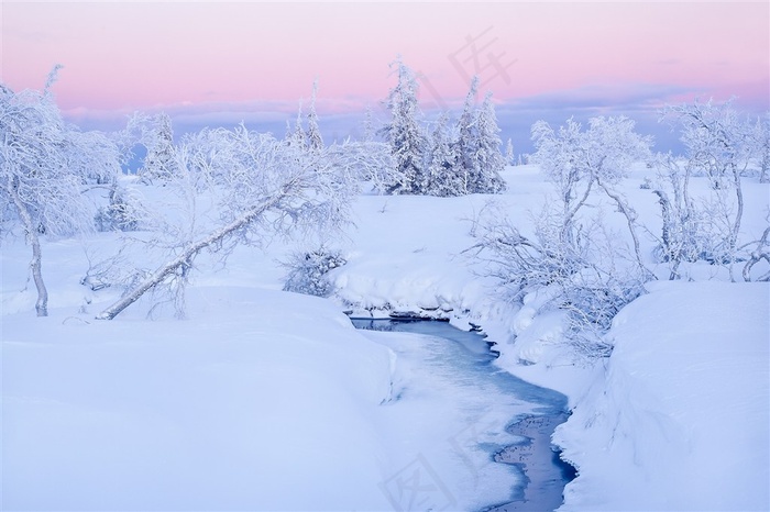 被皑皑白雪覆盖的纯白世界高清图