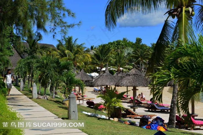 热带景点的游客与树