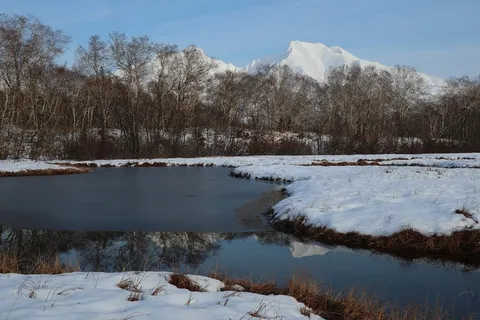 冬天自然背景风景 冬天自然背景风景