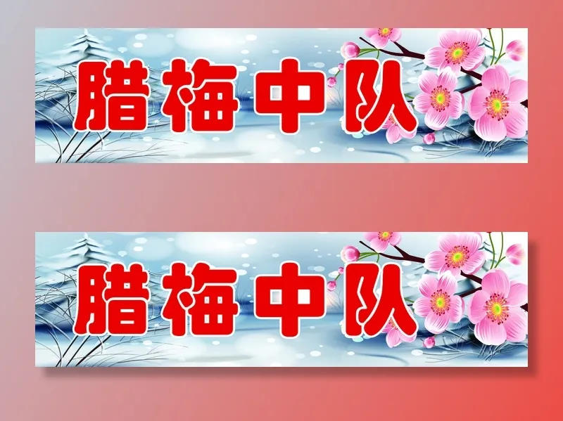腊梅中队学校|小学|班级名|班级中队|班级名片|psd模版下载