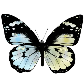 卡通动画动画蝴蝶免扣PNG手绘插画图片素材 (9)