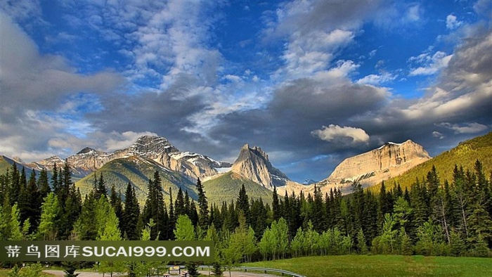 绿色水源涵养林图片