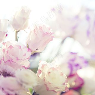 非主流唯美白色花朵图片