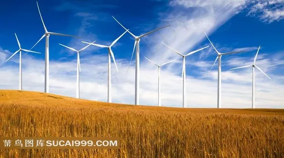 麦田里的电力风车