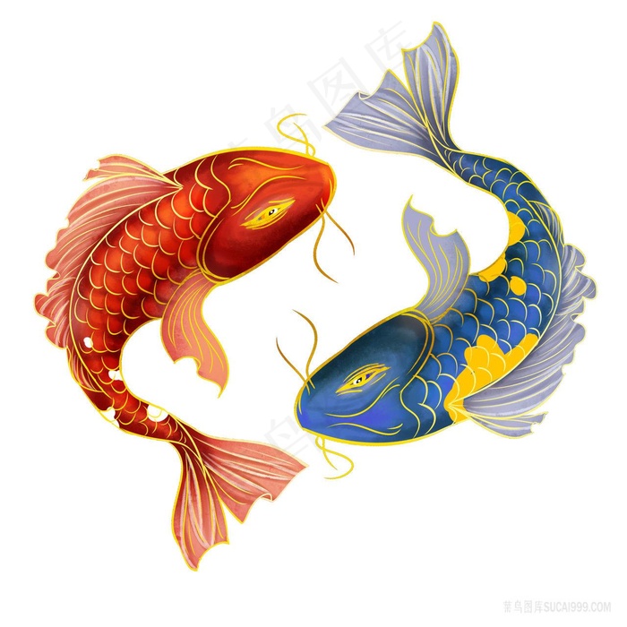 红蓝锦鲤png绘画图片