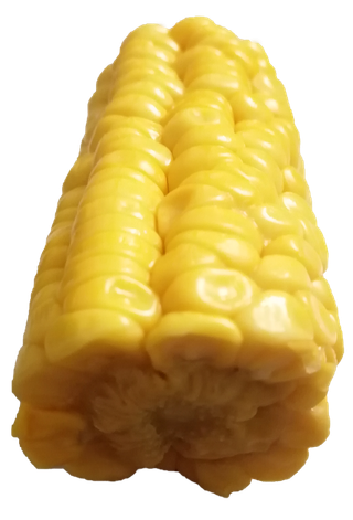 水煮玉米免抠元素素材