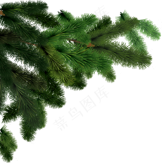 圣诞树免扣png 