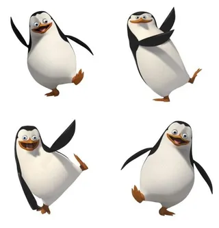 马达加斯加企鹅 PNG免抠